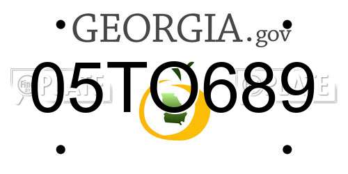05TO689 Georgia License Plate