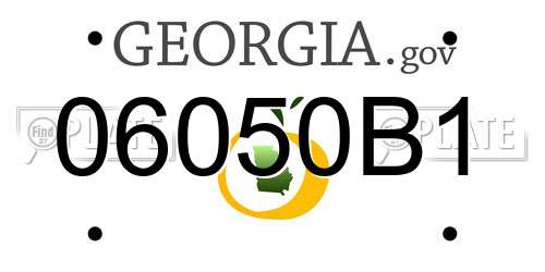 06050B1 Georgia License Plate
