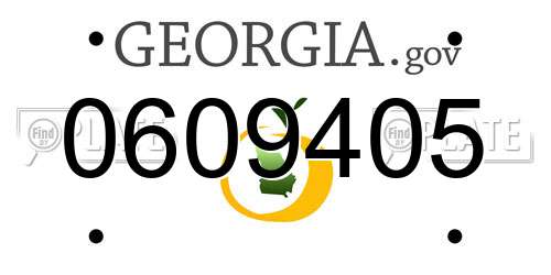 0609405 Georgia License Plate