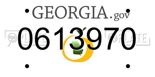 0613970 Georgia License Plate