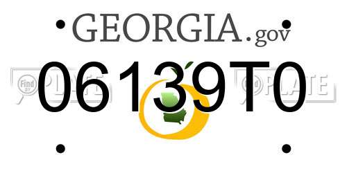 06139T0 Georgia License Plate