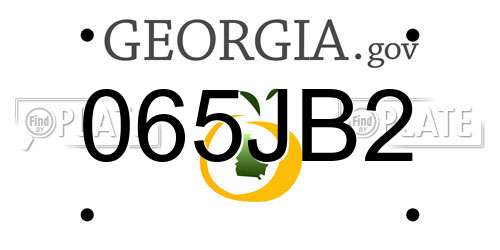 065JB2 Georgia License Plate