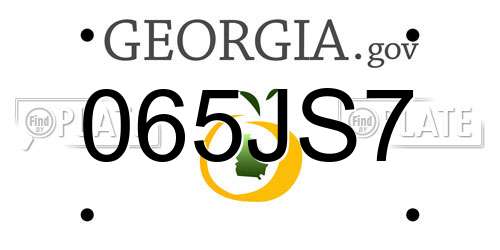 065JS7 Georgia License Plate