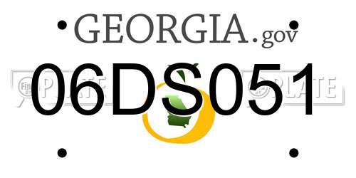 06DS051 Georgia License Plate