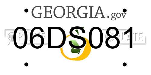 06DS081 Georgia License Plate