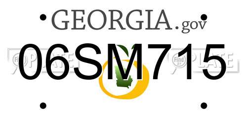 06SM715 Georgia License Plate
