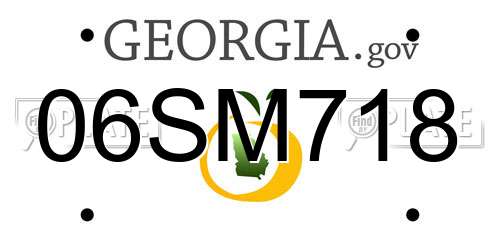 06SM718 Georgia License Plate