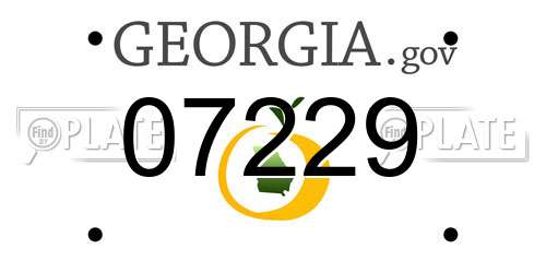 07229 Georgia License Plate