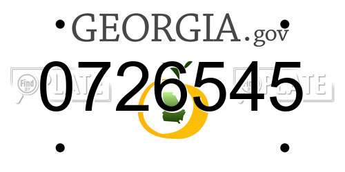 0726545 Georgia License Plate