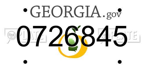 0726845 Georgia License Plate