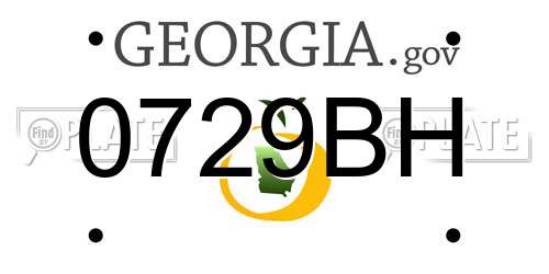 0729BH Georgia License Plate