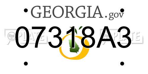 07318A3 Georgia License Plate