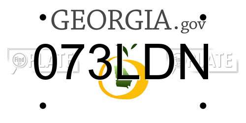 073LDN Georgia License Plate