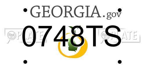 0748TS Georgia License Plate