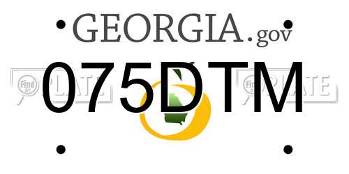 075DTM Georgia License Plate