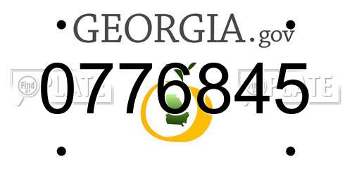 0776845 Georgia License Plate