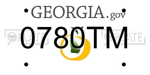 0780TM Georgia License Plate