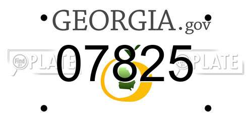 07825 Georgia License Plate