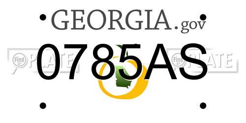 0785AS Georgia License Plate