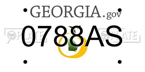 0788AS Georgia License Plate