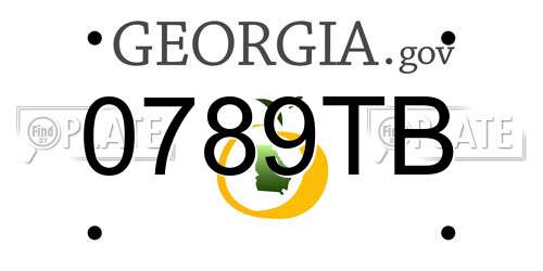 0789TB Georgia License Plate