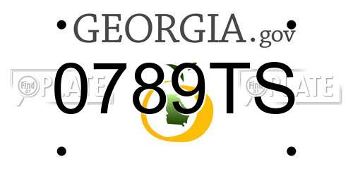 0789TS Georgia License Plate