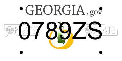 0789ZS Georgia License Plate