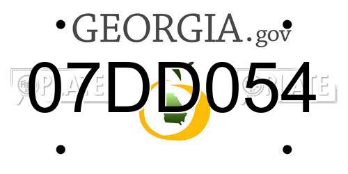 07DD054 Georgia License Plate