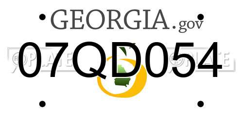 07QD054 Georgia License Plate