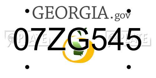 07ZG545 Georgia License Plate