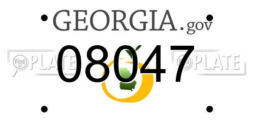08047 Georgia License Plate