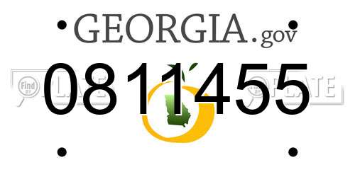 0811455 Georgia License Plate