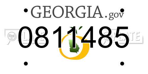 0811485 Georgia License Plate