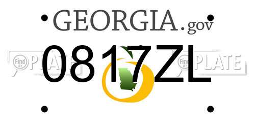 0817ZL Georgia License Plate