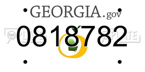 0818782 Georgia License Plate