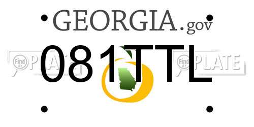 081TTL Georgia License Plate