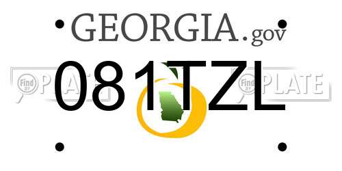 081TZL Georgia License Plate
