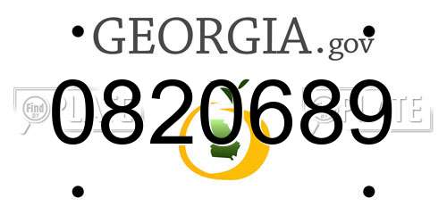 0820689 Georgia License Plate