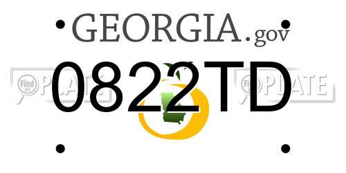 0822TD Georgia License Plate