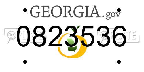0823536 Georgia License Plate