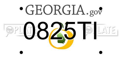 0825TI Georgia License Plate