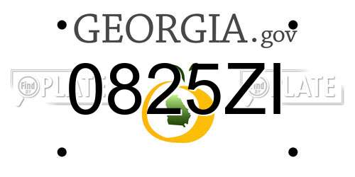 0825ZI Georgia License Plate