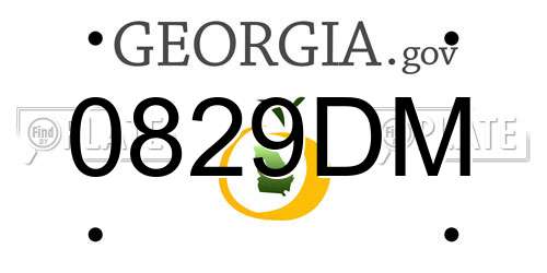 0829DM Georgia License Plate