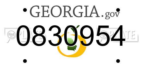 0830954 Georgia License Plate