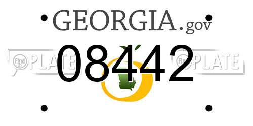 08442 Georgia License Plate