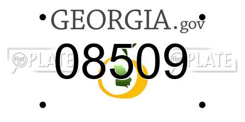 08509 Georgia License Plate