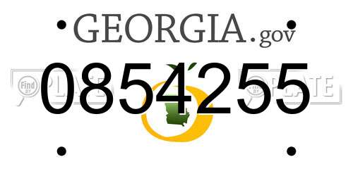 0854255 Georgia License Plate