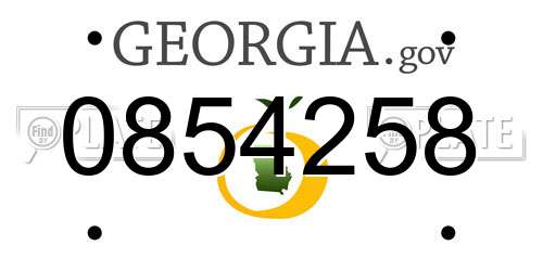 0854258 Georgia License Plate