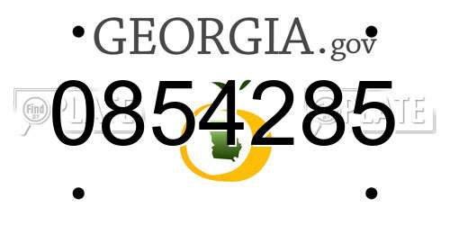 0854285 Georgia License Plate
