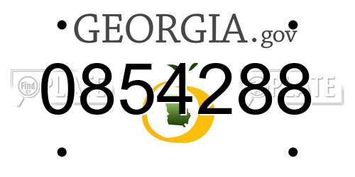 0854288 Georgia License Plate